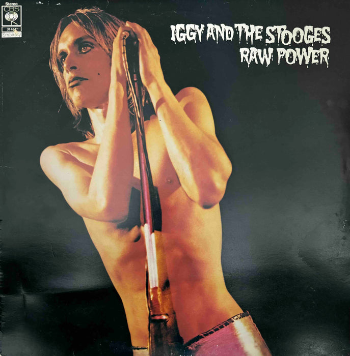 Iggy Pop and The Stooges - Raw Power