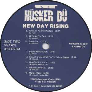 Hüsker Dü - New Day Rising