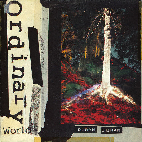 Duran Duran - Ordinary World (7inch)