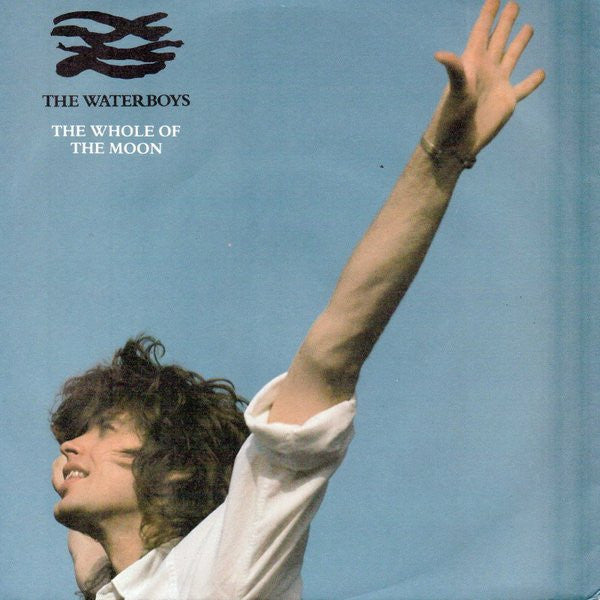 The Waterboys - The whole of the moon (7inch single)