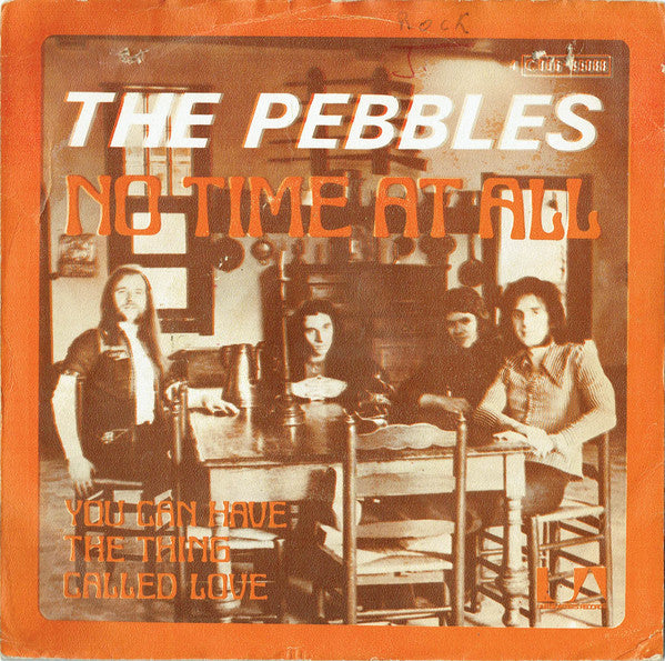 The Pebbles - No time at all (7inch single)