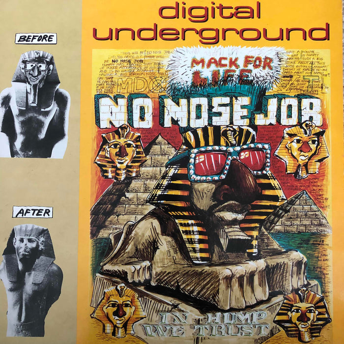 Digital Underground - No nose job (12inch)