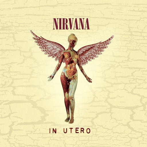 Nirvana - In Utero - Dear Vinyl