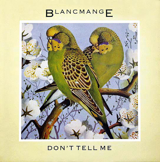 Blancmange - Don't Tell Me (12inch)