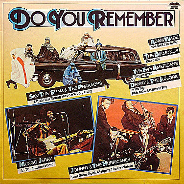 Do you Remember - Various (2LP)